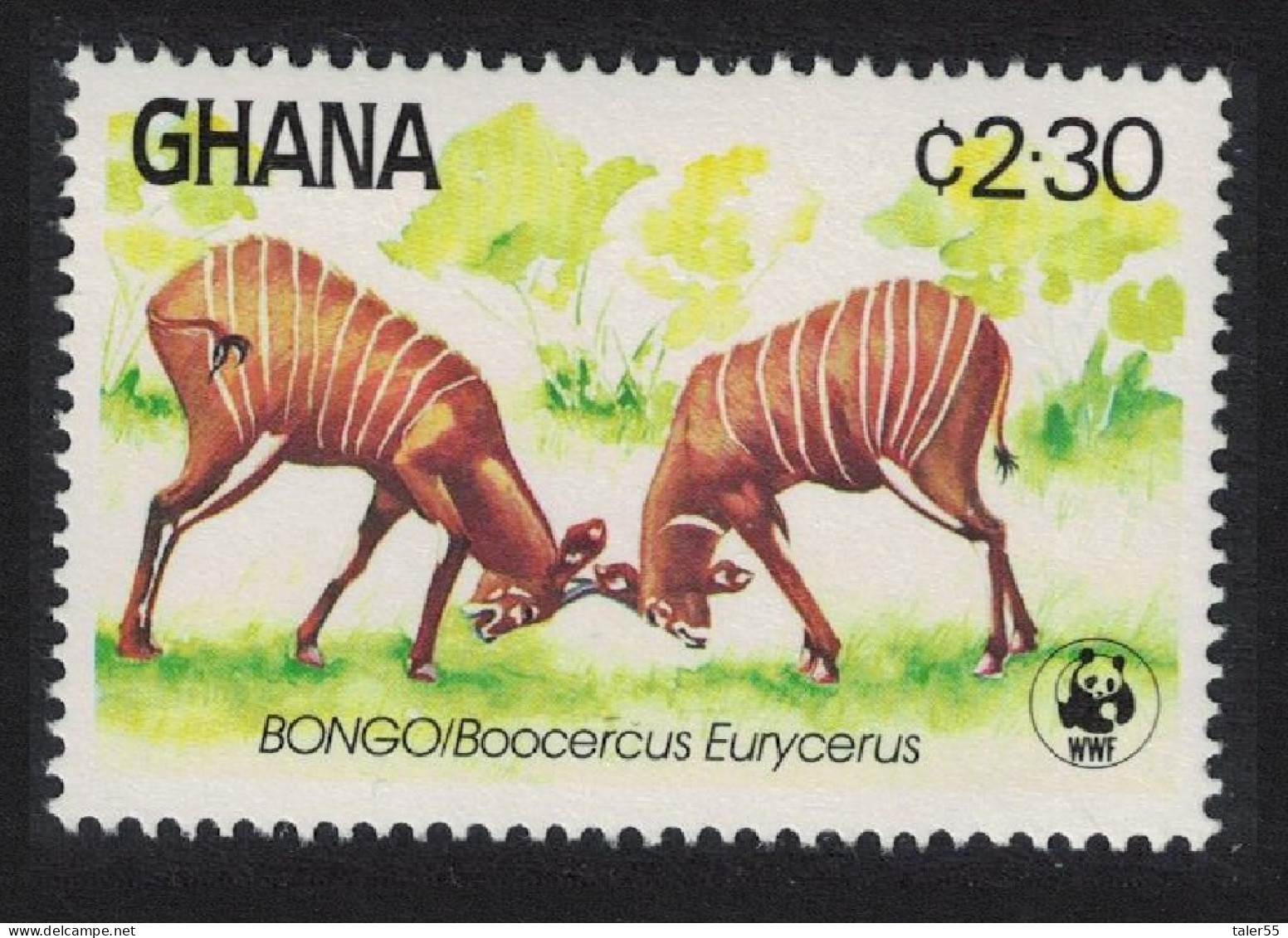 Ghana WWF Bongo Bucks Fighting Antelope 1984 MNH SG#1117 - Ghana (1957-...)