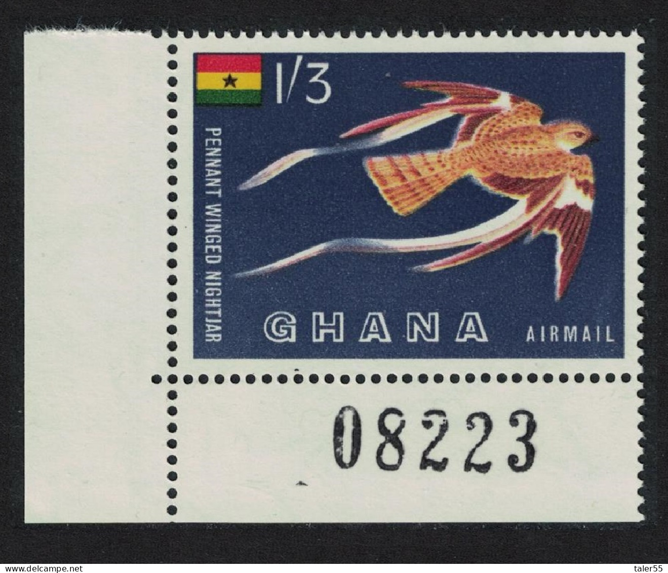 Ghana Pennant-winged Nightjar Bird Corner Number 1959 MNH SG#226 MI#61 - Ghana (1957-...)