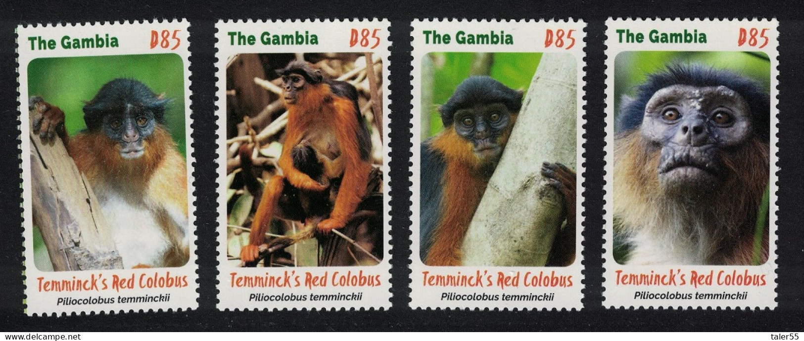 Gambia Red Colobus Monkey WWF 4v 2016 MNH - Gambie (1965-...)