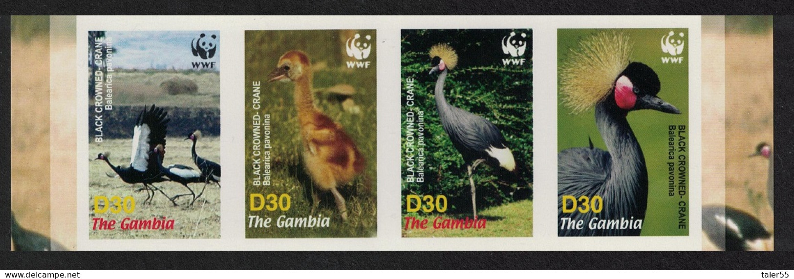 Gambia Birds WWF Black Crowned Crane Strip Of 4v Imperf 2006 MNH SG#4920-4923 MI#5631-5634 Sc#3014 A-d - Gambie (1965-...)