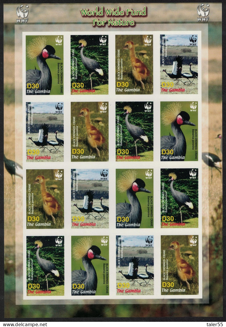 Gambia Birds WWF Black Crowned Crane Imperf Sheetlet Of 4 Sets 2006 MNH SG#4920-4923 MI#5631-5634 Sc#3014 A-d - Gambie (1965-...)