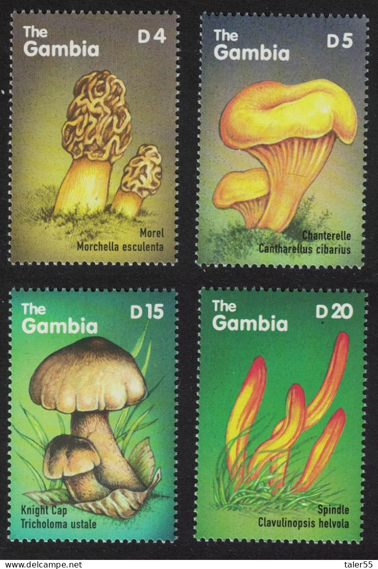 Gambia African Mushrooms 4v 2000 MNH SG#3507=3522 - Gambie (1965-...)