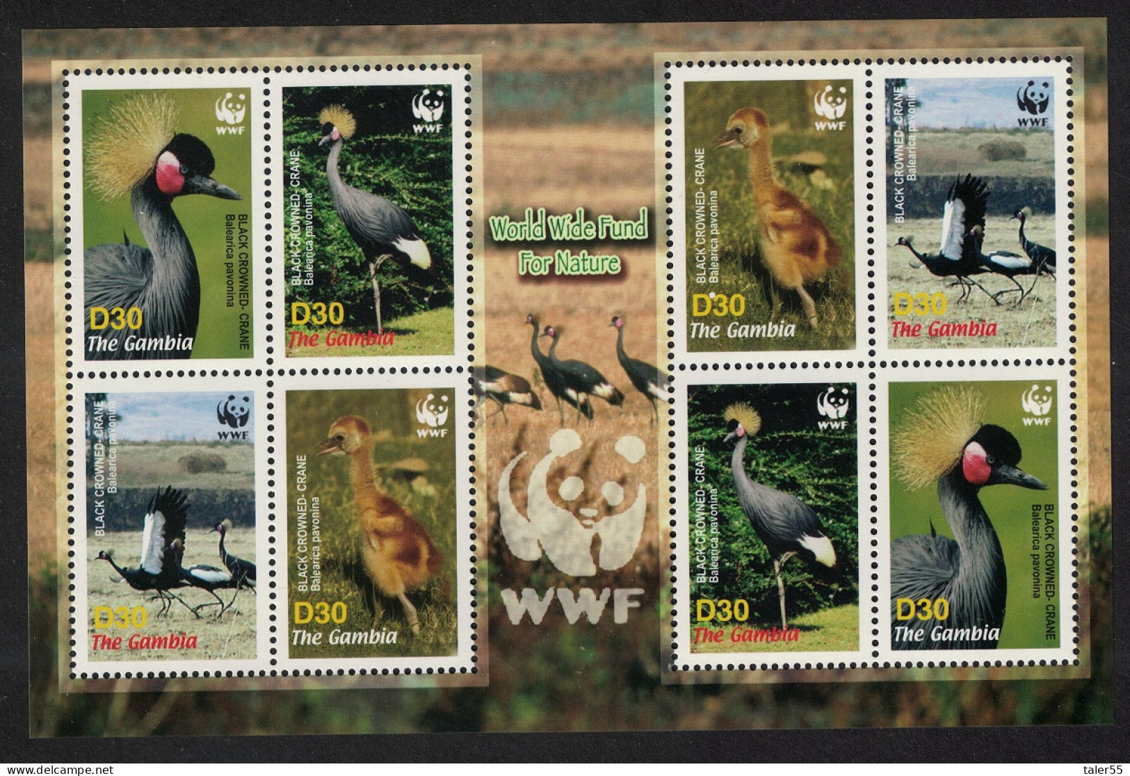 Gambia Birds WWF Black Crowned Crane MS 2006 MNH SG#MS4924 MI#5631-5634 Sc#3014 A-d - Gambie (1965-...)