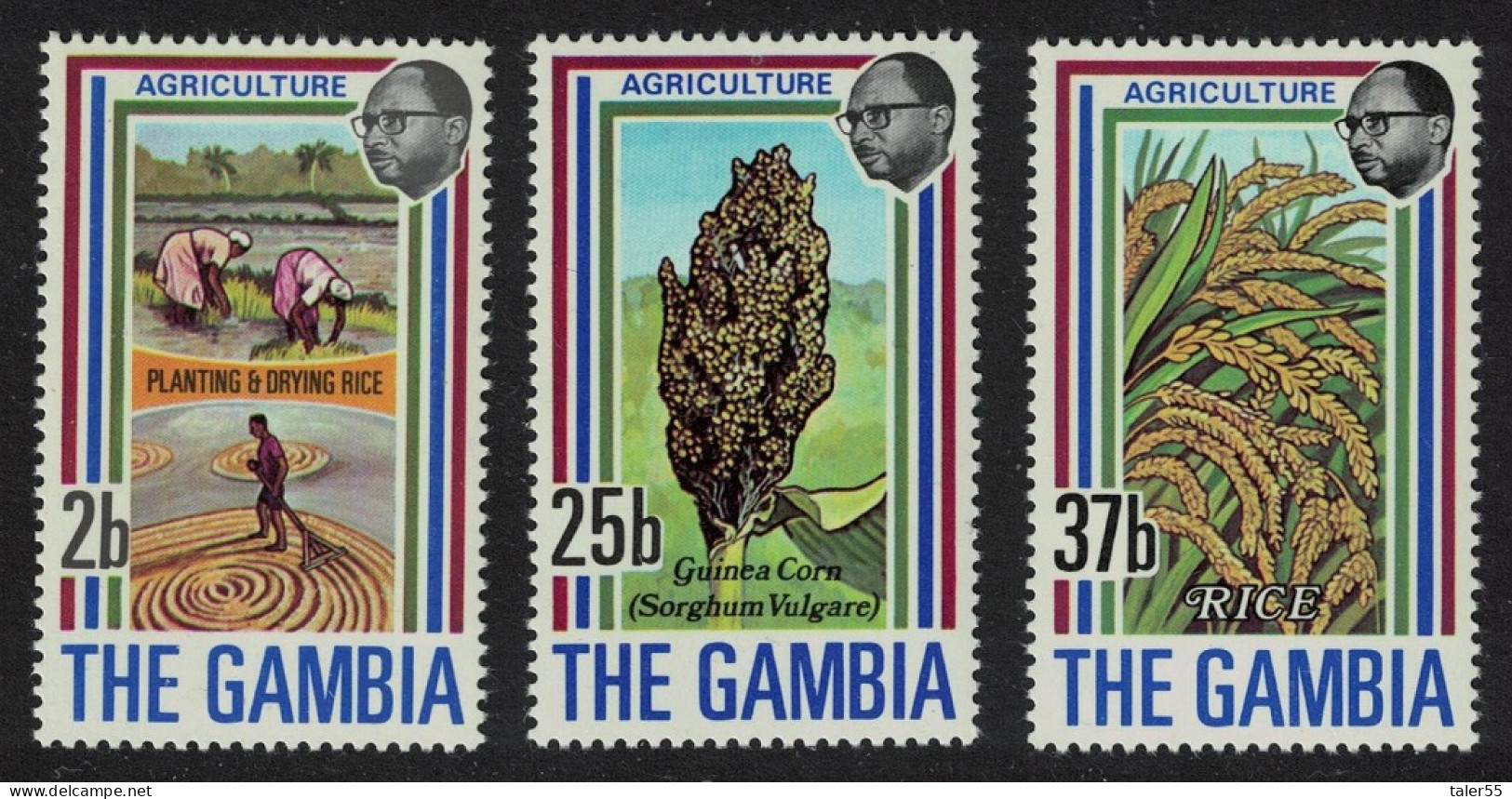 Gambia Agriculture 1st Series 3v 1973 MNH SG#301-303 - Gambia (1965-...)