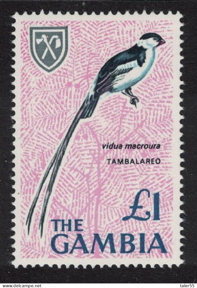 Gambia Pin-tailed Whydah Bird £1 1966 MNH SG#245 - Gambie (1965-...)