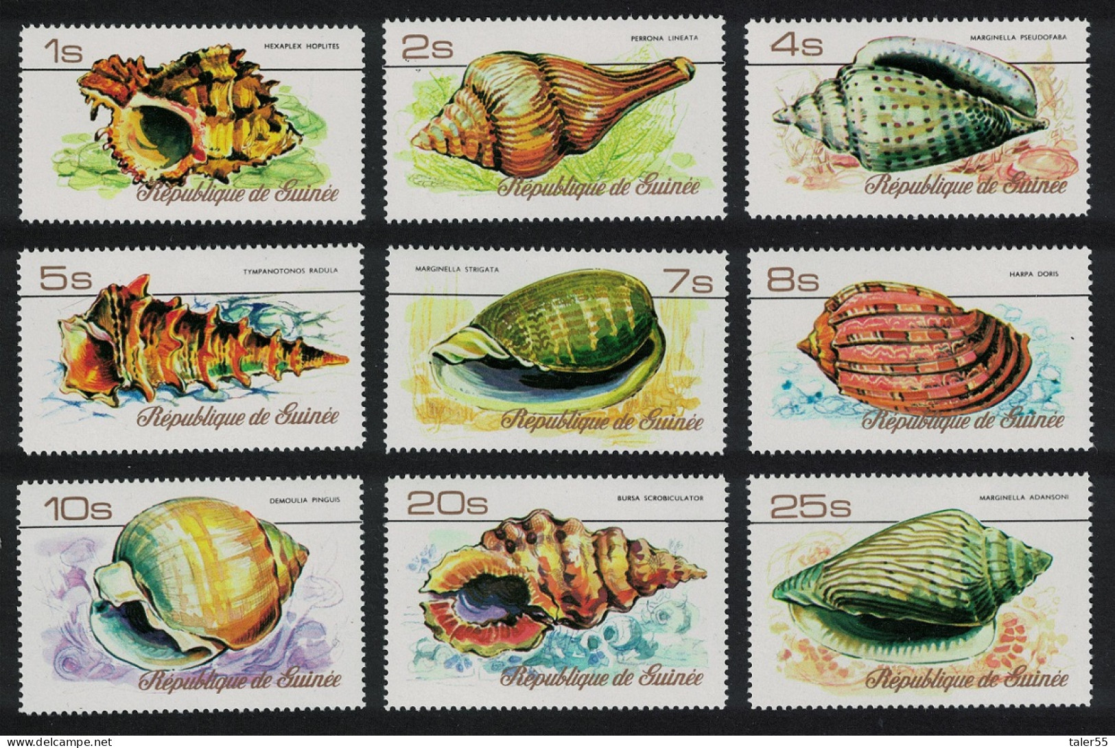 Guinea Sea Shells 9v 1977 MNH SG#921-929 MI#767A-775A - Guinea (1958-...)