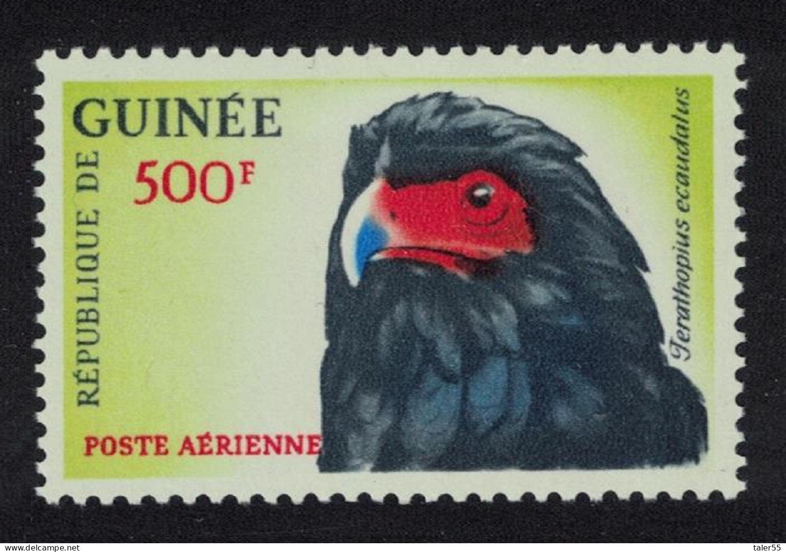 Guinea Bateleur Bird 500f Airmail KEY VALUE 1962 MNH SG#363 MI#163 - Guinea (1958-...)