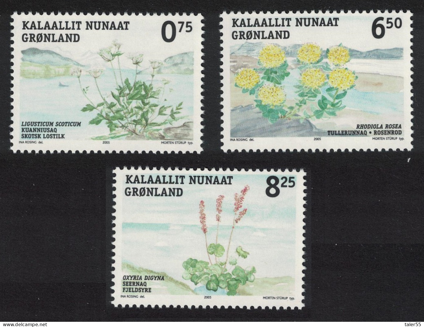 Greenland Edible Plants 3v 2004 MNH SG#454-456 - Unused Stamps