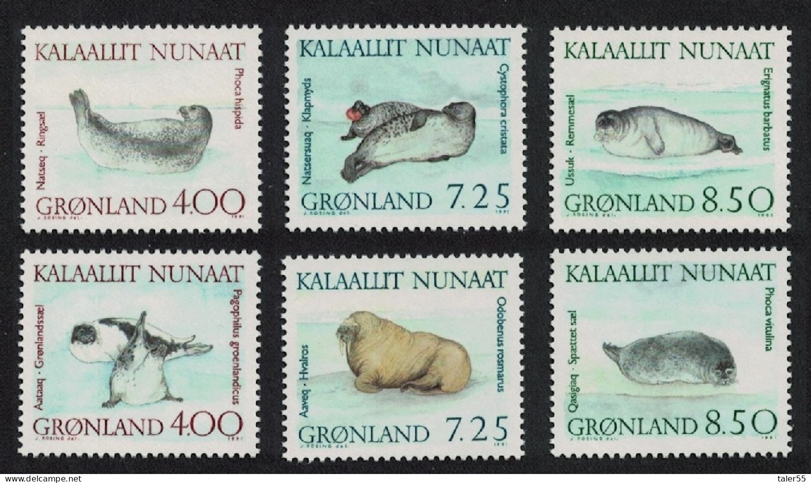 Greenland Walrus Seals Marine Mammals 6v 1991 MNH SG#228-233 - Ungebraucht