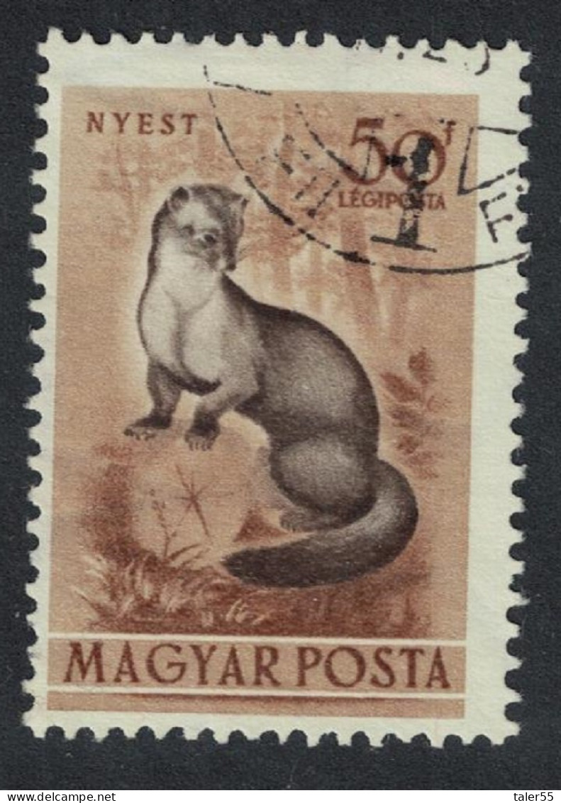 Hungary Beech Marten 20fi 1953 Canc SG#1274 Sc#C114 - Usati