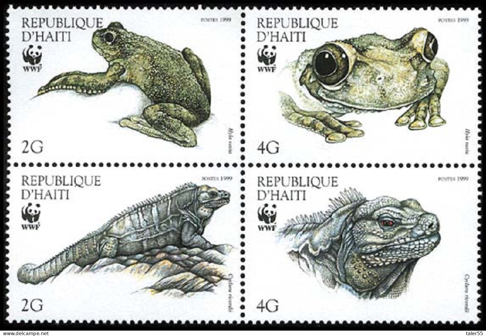 Haiti WWF Ground Iguana And Giant Tree-frog 4v Block Of 4 1999 MNH SG#1636-1639 MI#1588-1591 Sc#913 A-d - Haiti