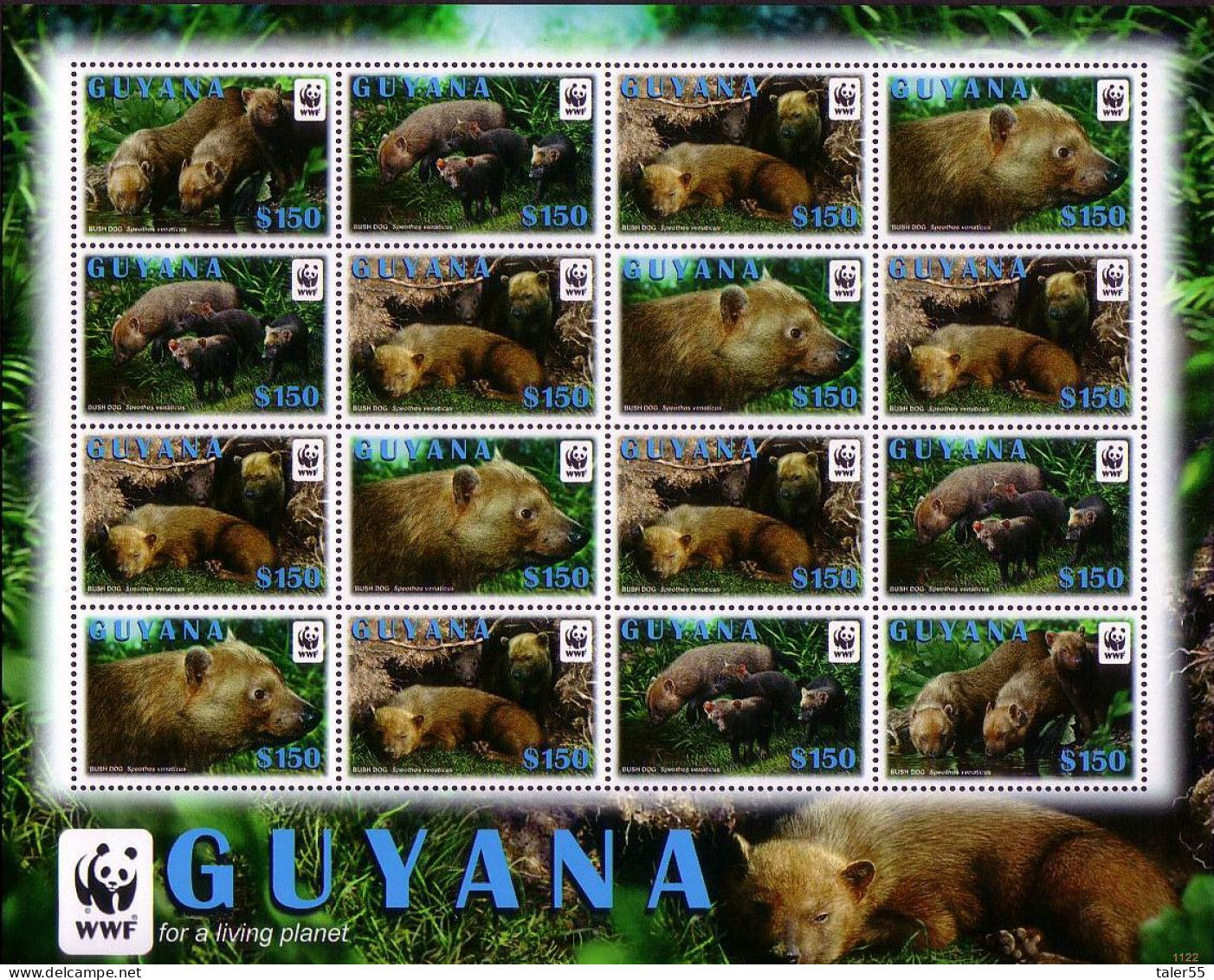 Guyana WWF Bush Dog Sheetlet Of 4 Sets ERROR 2011 MNH SG#6752a-6755a - Guyane (1966-...)