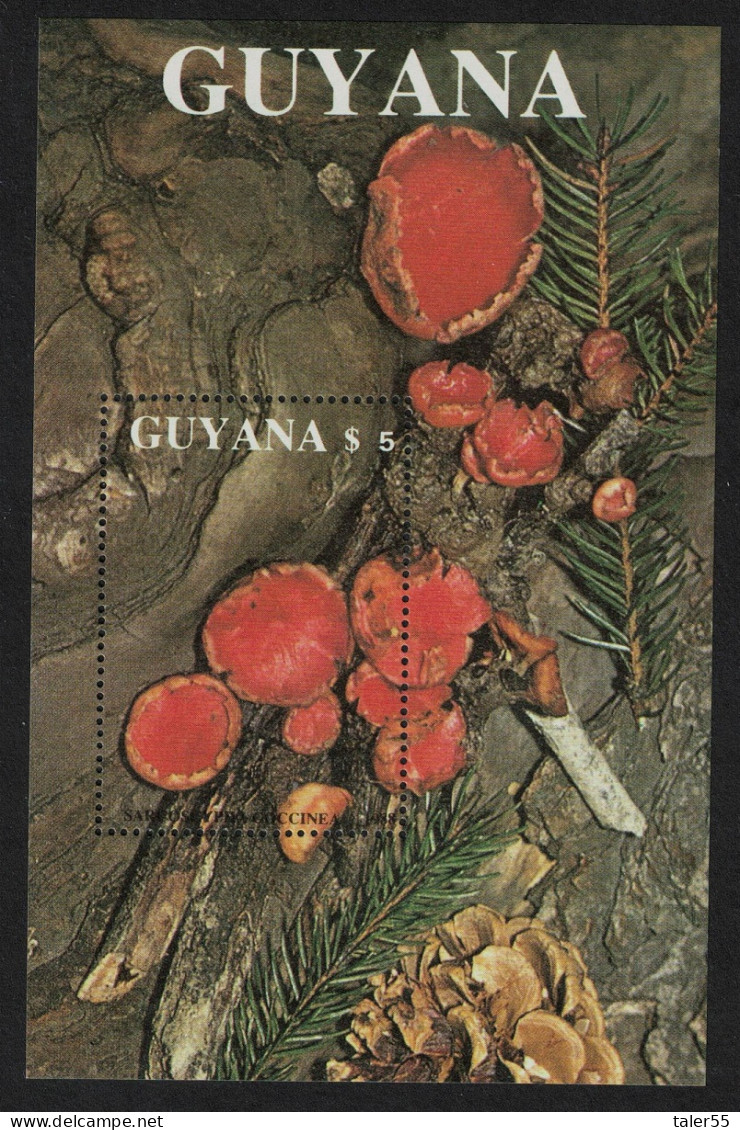 Guyana Fungi Mushrooms 'Sarcoscypha Coccinea' MS 1989 MNH MI#Block 37 Sc#2011 - Guyane (1966-...)