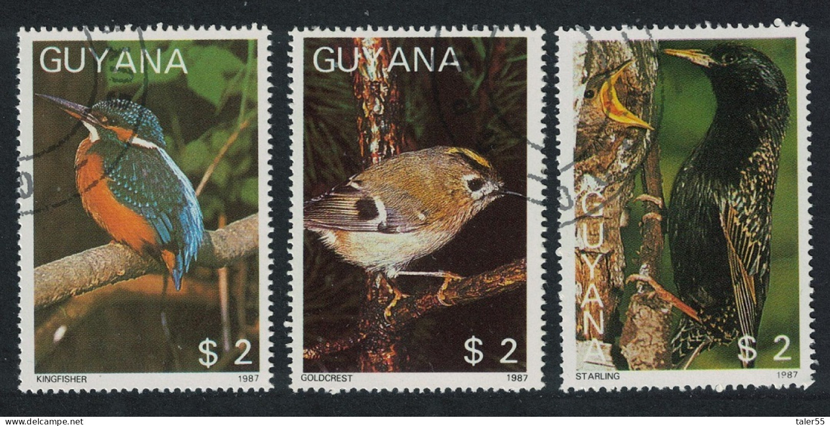 Guyana Birds 3v 1987 CTO - Guyane (1966-...)