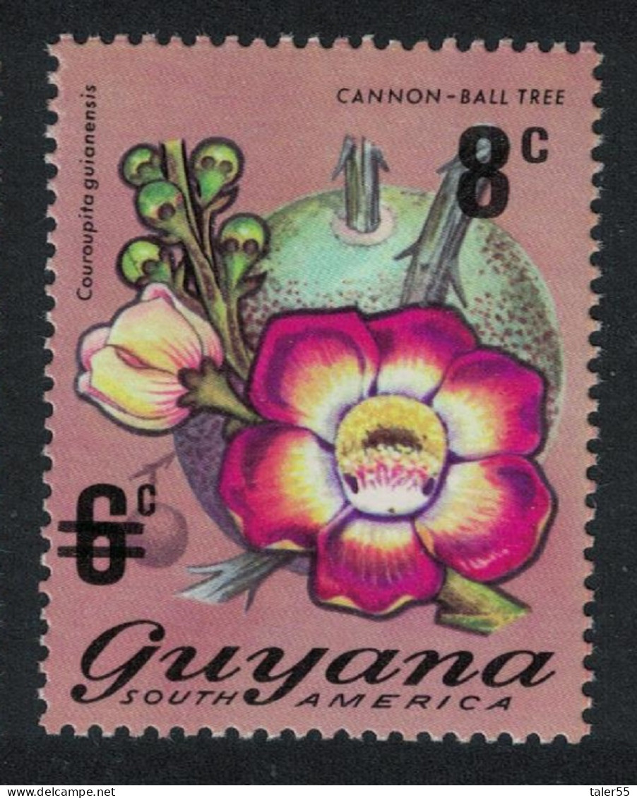 Guyana Cannon-ball Tree Flowers No 546 Surch 8c 1974 MNH SG#601 - Guyane (1966-...)