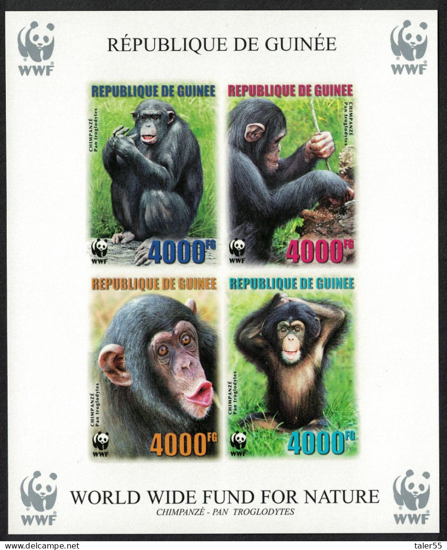 Guinea WWF Chimpanzee Souvenir Sheet Imperf 2006 MNH MI#Block 929B - Guinea (1958-...)