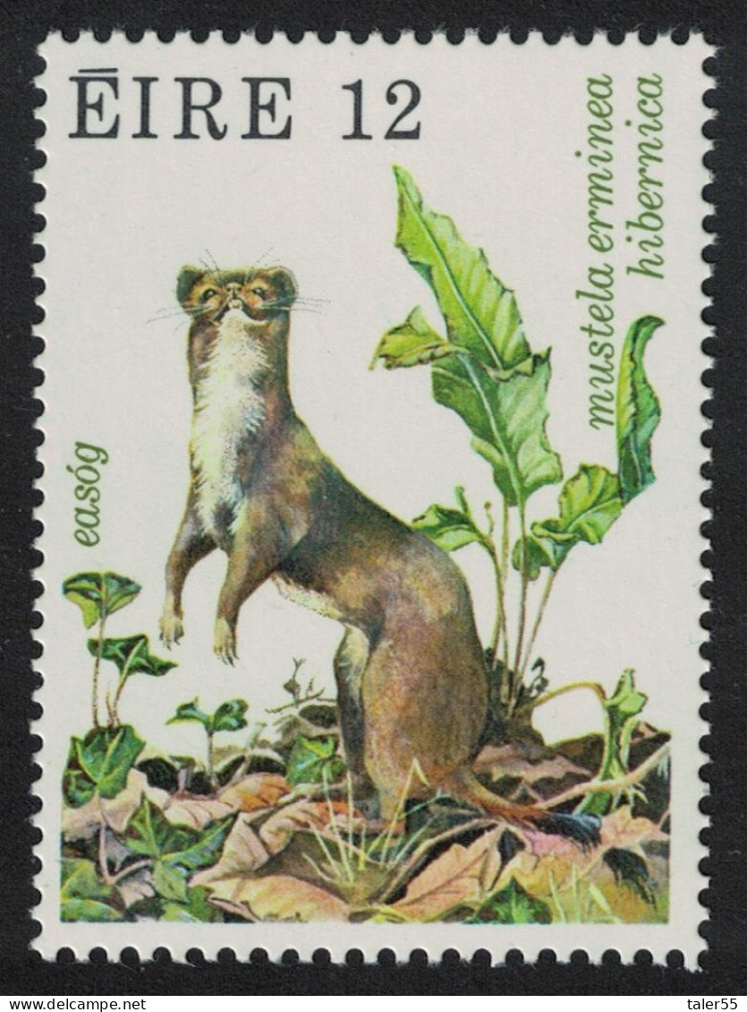 Ireland Stoat Wildlife 12p 1980 MNH SG#461 - Unused Stamps