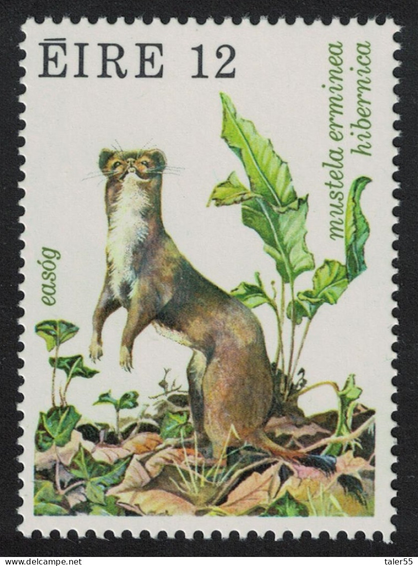 Ireland Stoat Wildlife 12p 1980 MNH SG#461 - Neufs