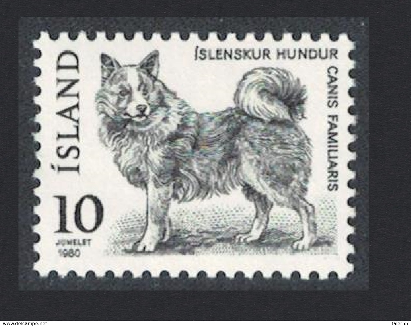 Iceland Icelandic Dog 1980 MNH SG#581 - Unused Stamps