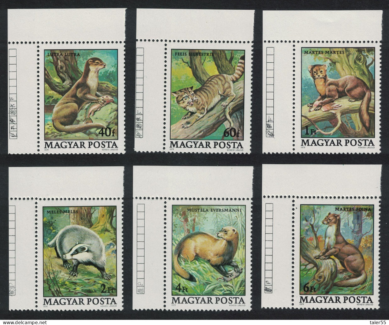 Hungary Protected Animals 6v Corners 1979 MNH SG#3274-3279 MI#3384-3389 - Ungebraucht