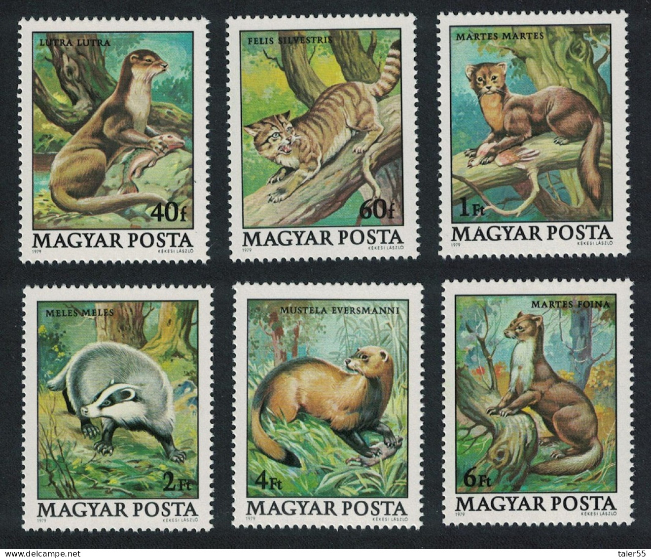 Hungary Protected Animals 6v 1979 MNH SG#3274-3279 MI#3384-3389 - Ungebraucht