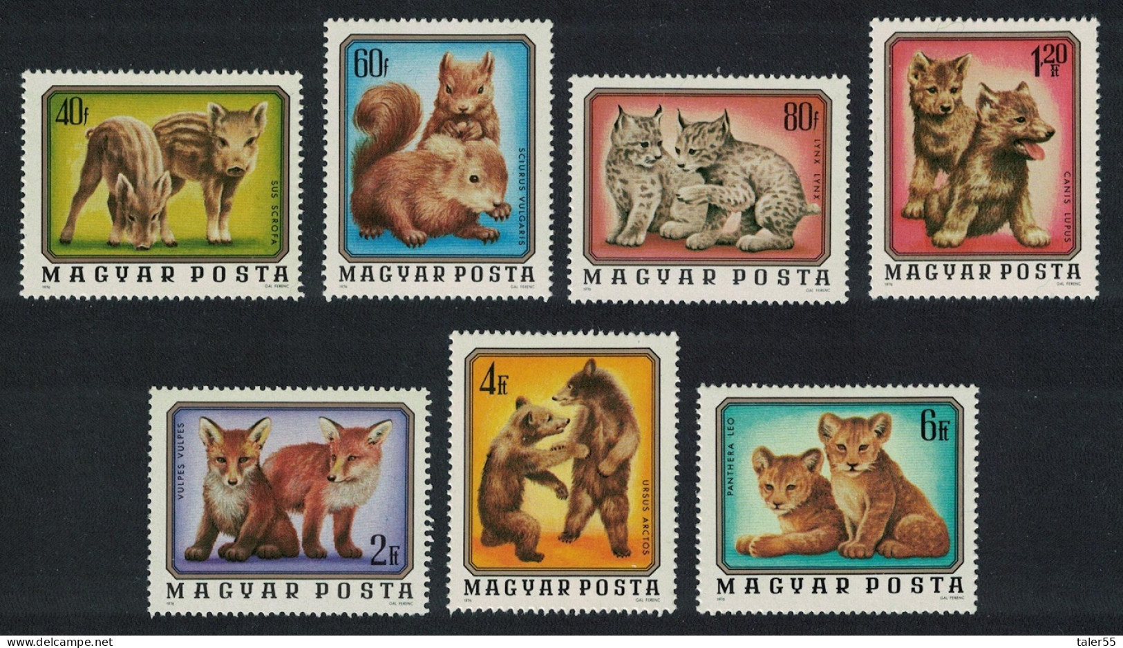 Hungary Boar Squirrel Lynx Wolf Fox Bear Lion Cubs Young Animals 7v 1976 MNH SG#3014-3020 MI#3098-30940A - Ungebraucht