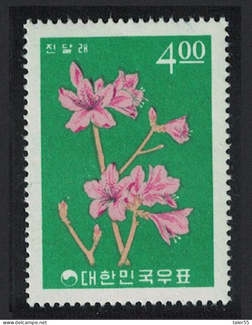 Korea Rep. Rhododendron Azalea Korean Plants Series 1965 MNH SG#574 - Corea Del Sur