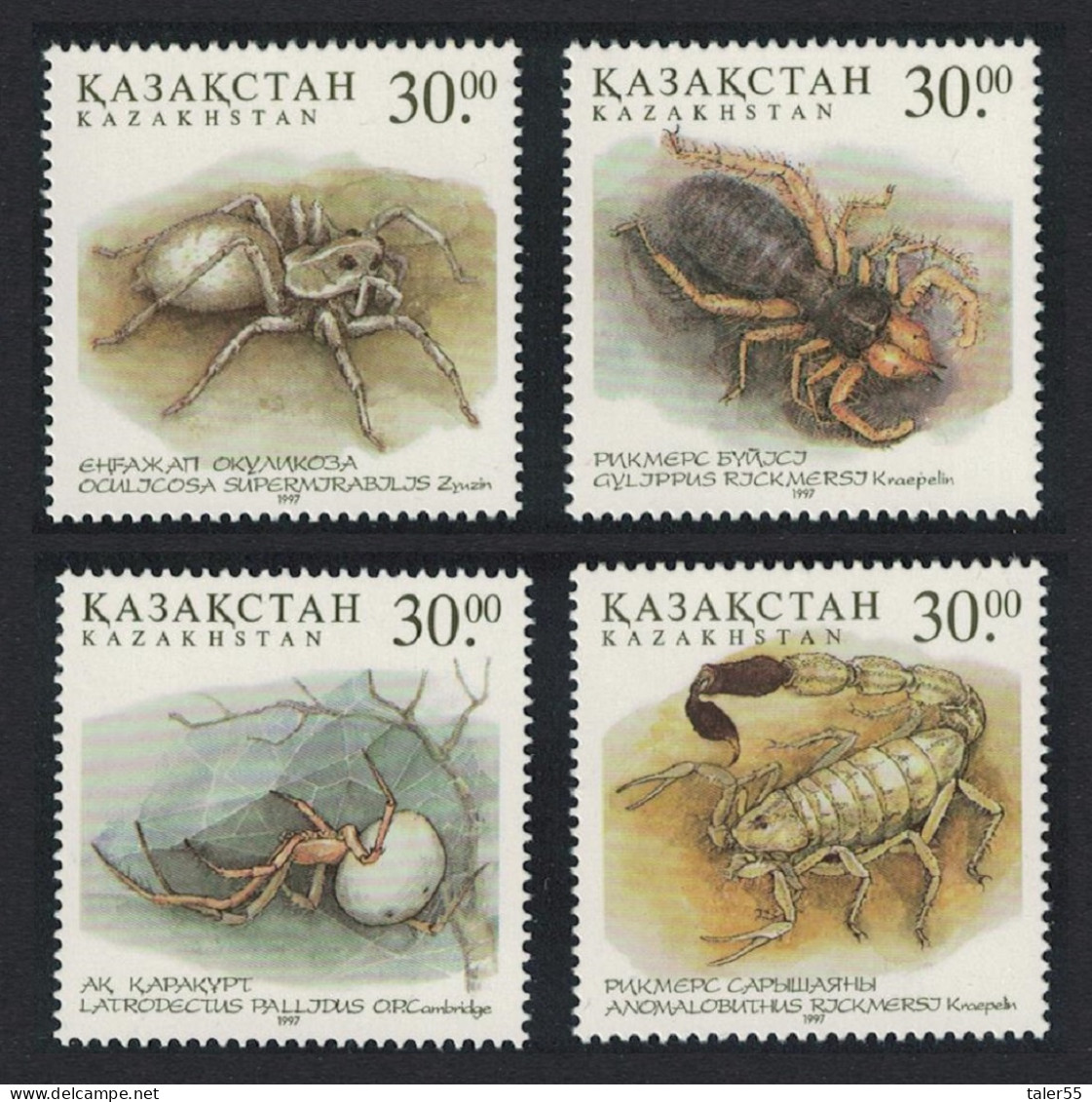 Kazakhstan Arachnidae Spiders 4v 1997 MNH SG#188-191 - Kazakhstan