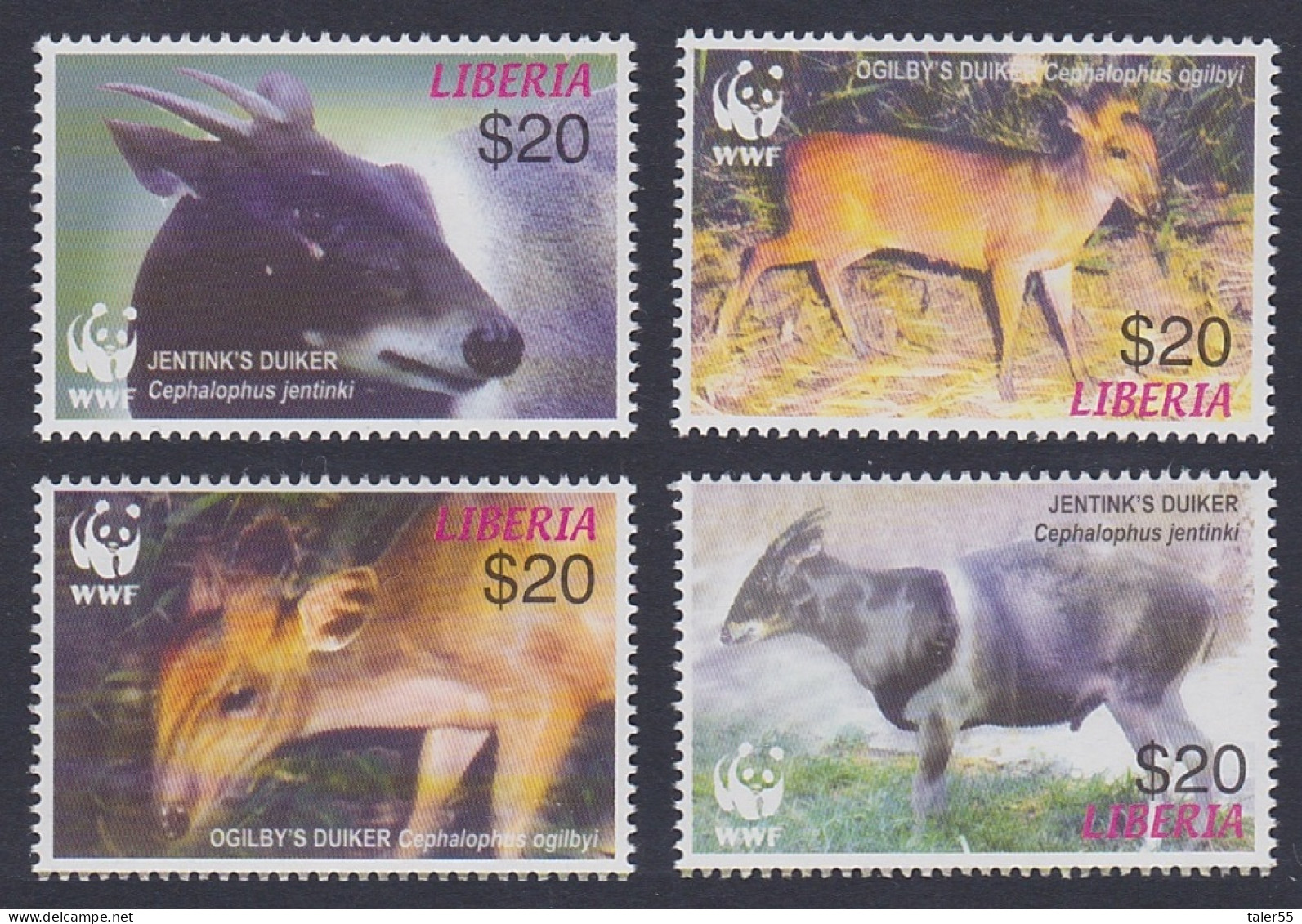 Liberia WWF Duikers 4v 2005 MNH MI#5100-5103 Sc#2370 A-d - Liberia