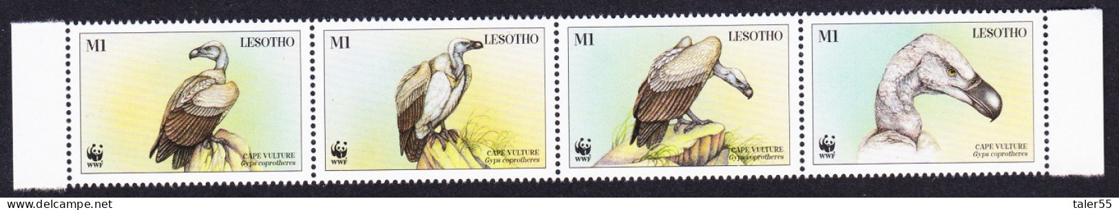 Lesotho WWF Cape Vulture Birds Strip Of 4v 1998 MNH SG#1378-1381 MI#1276-1279 Sc#1091 A-d - Lesotho (1966-...)