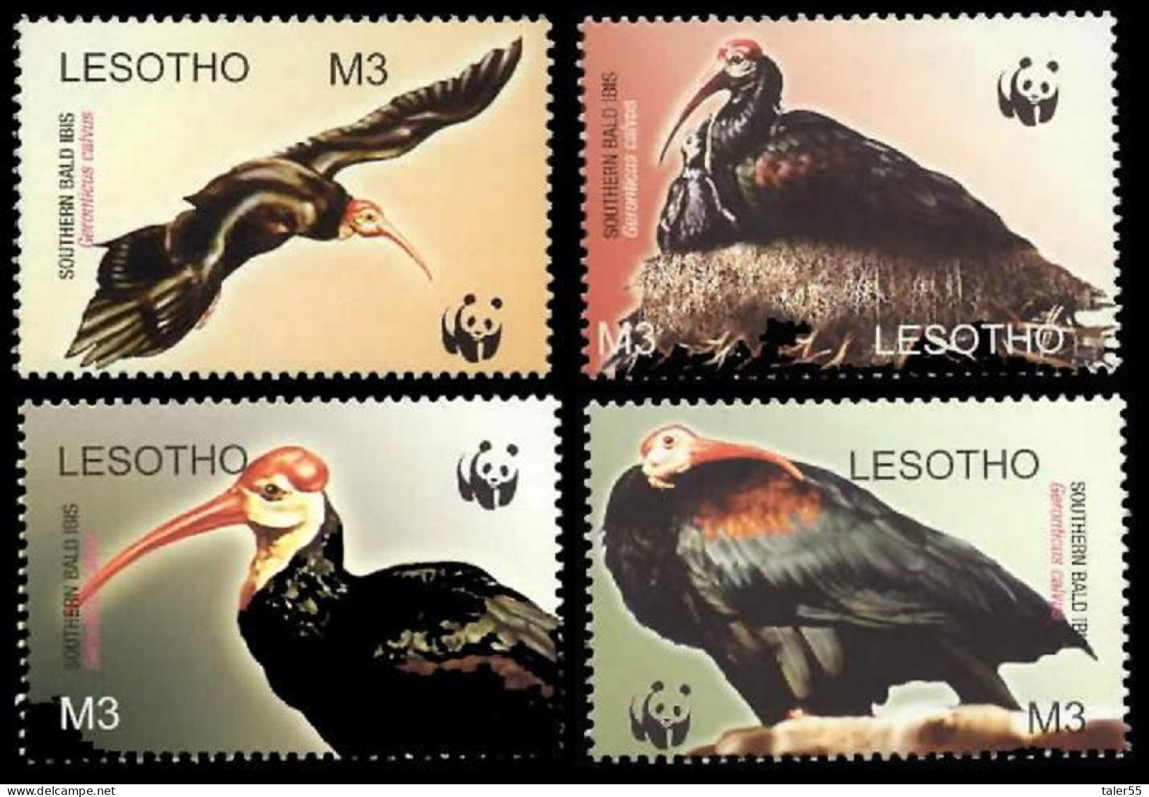 Lesotho WWF Southern Bald Ibis Birds 4v 2004 MNH SG#1934-1937 MI#1895-1898 Sc#1336 A-d - Lesotho (1966-...)