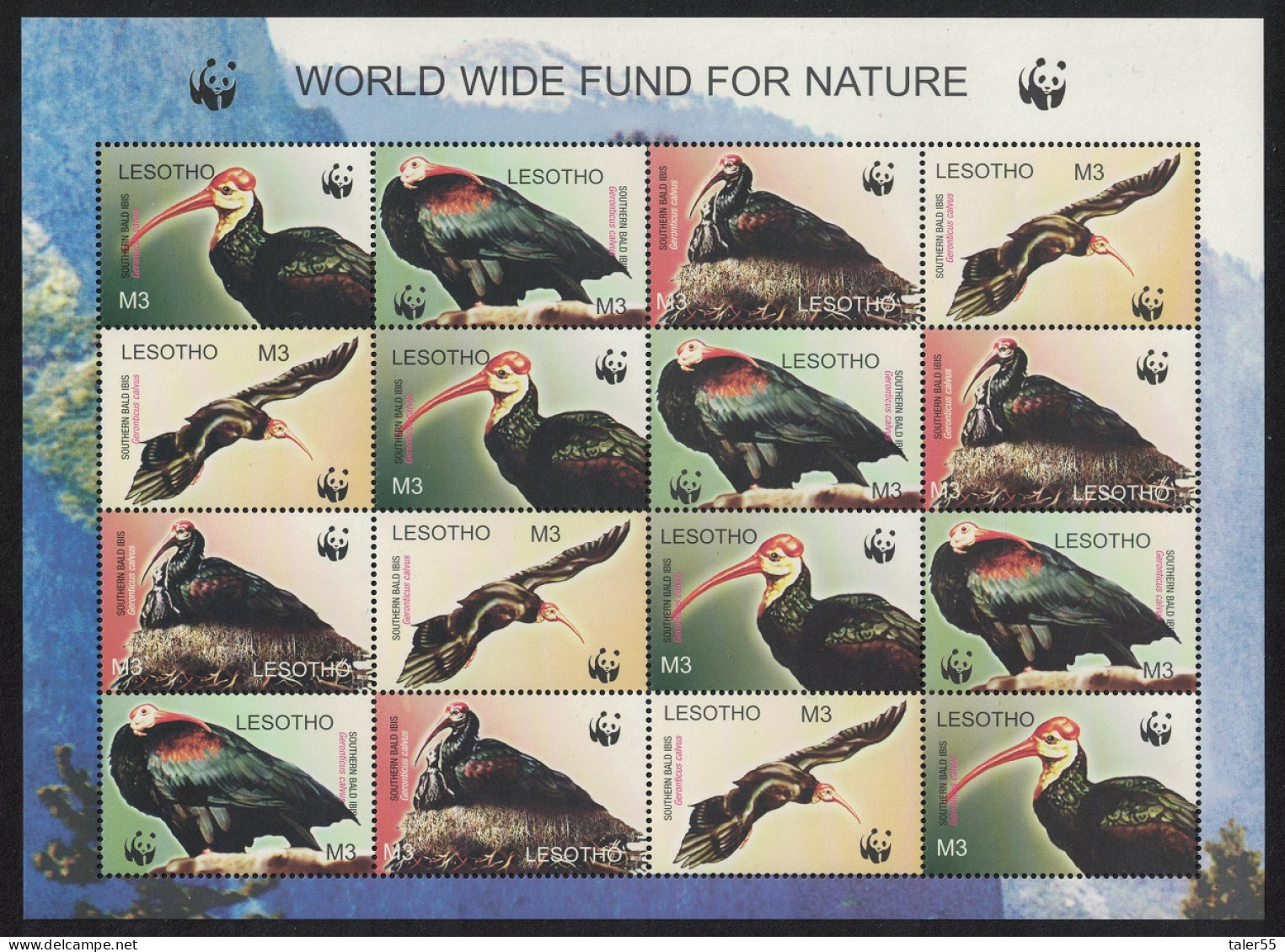 Lesotho WWF Southern Bald Ibis Birds Sheetlet Of 4 Sets 2004 MNH SG#1934-1937 MI#1895-1898 Sc#1336 A-d - Lesotho (1966-...)
