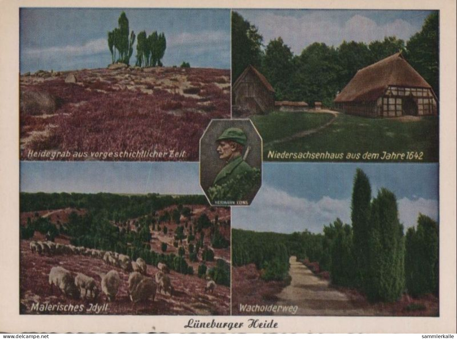 42556 - Lüneburger Heide - U.a. Wacholderweg - Ca. 1960 - Lüneburger Heide