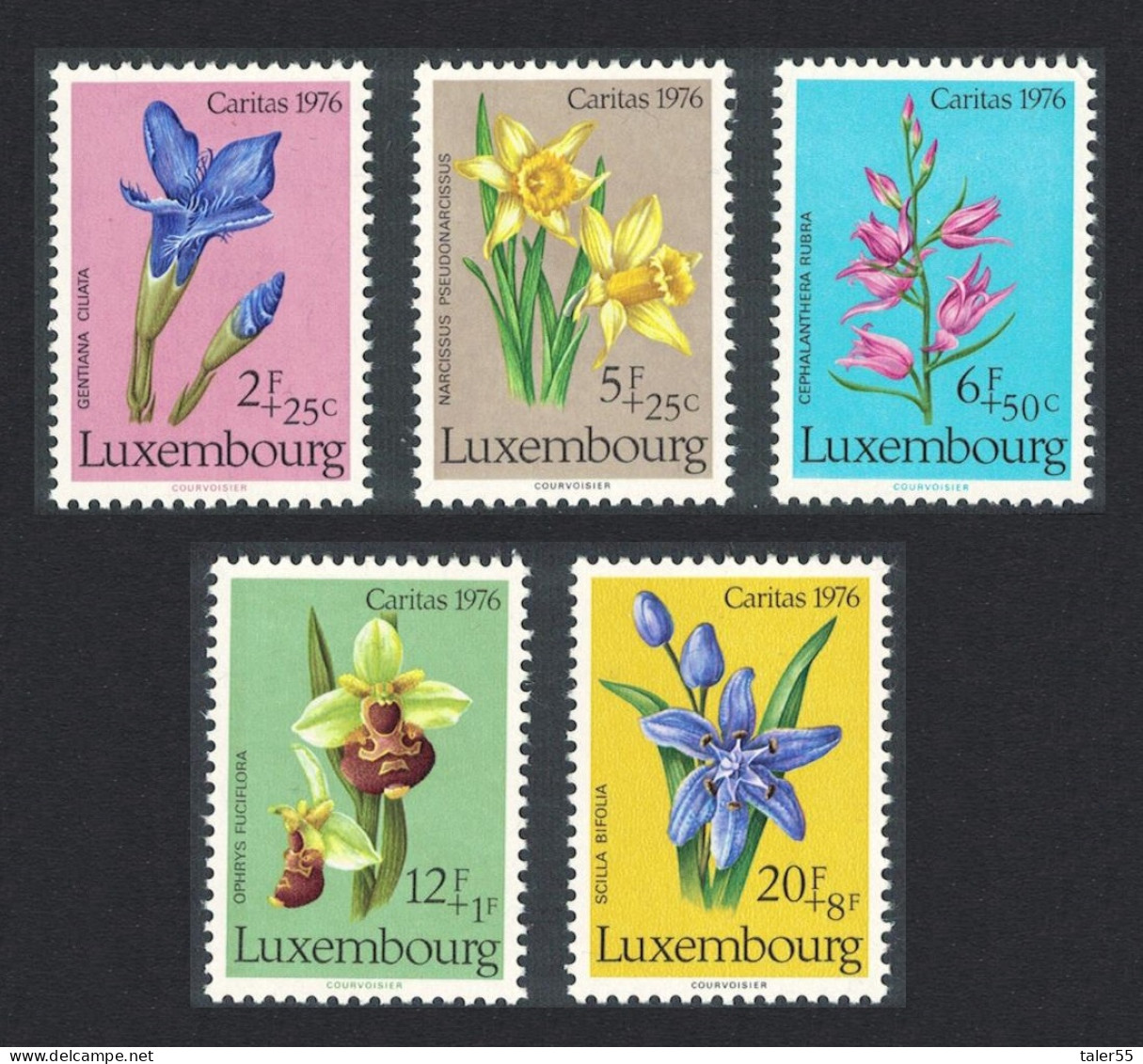 Luxembourg Flowers 1976 MNH SG#976-980 MI#936-940 - Ongebruikt
