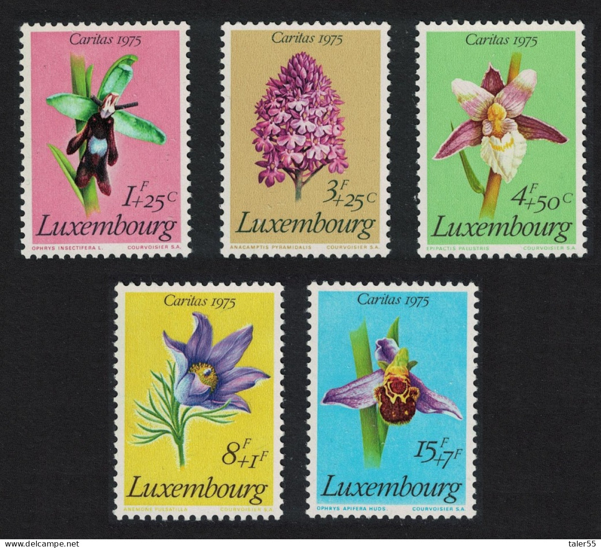 Luxembourg Protected Plants Flowers 5v 1975 MNH SG#957-961 MI#914-918 - Ongebruikt