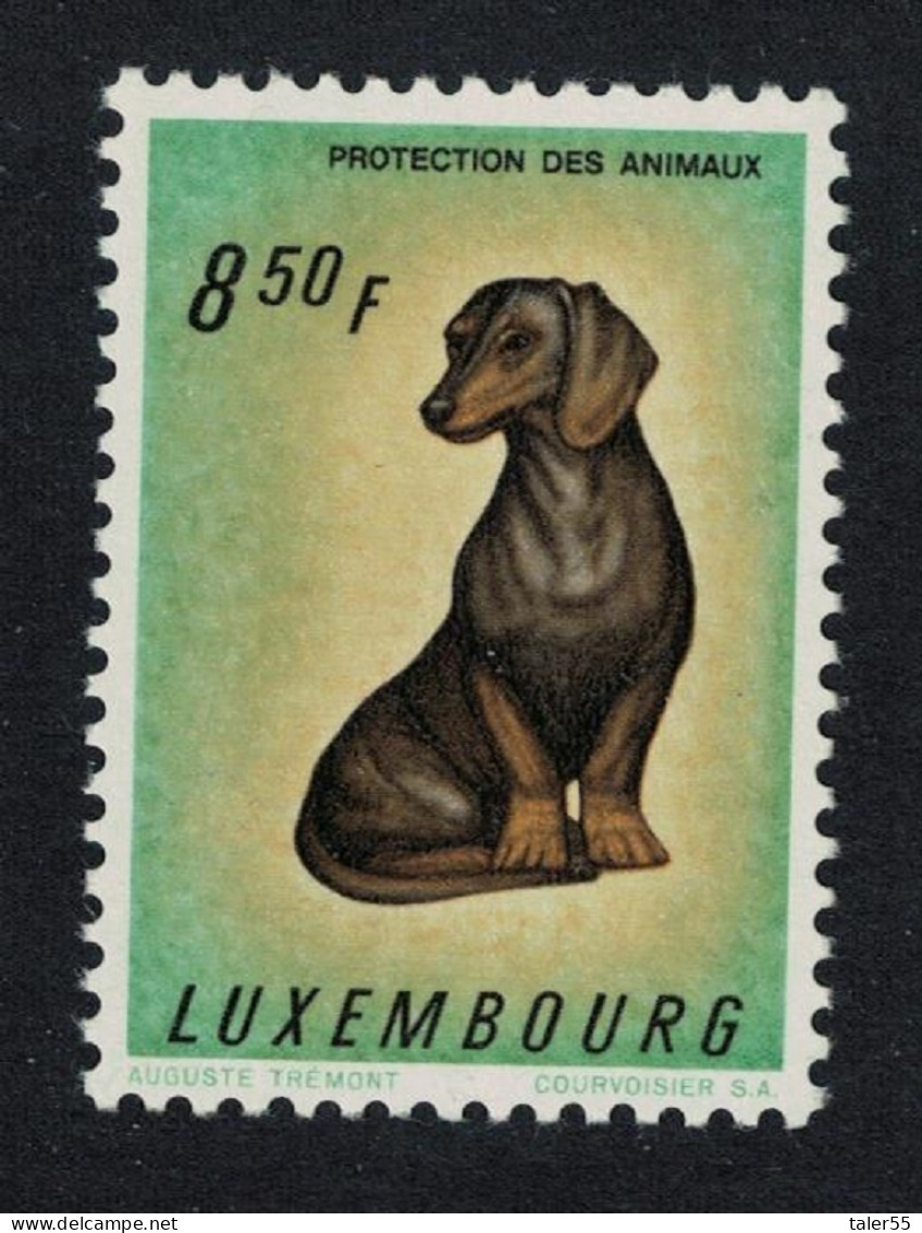 Luxembourg Dachshund Dog 1961 MNH SG#694 MI#640 - Nuevos