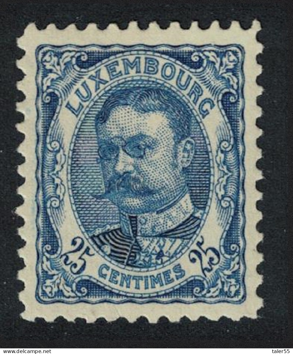 Luxembourg Grand Duke William IV 25c RAR 1907 MH SG#166 MI#76 - Other & Unclassified