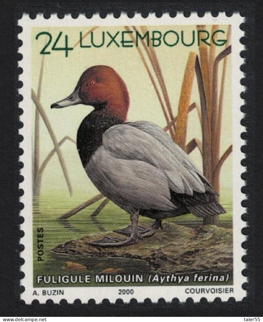 Luxembourg Common Pochard Duck Bird Buzin 2000 MNH SG#1537 MI#1504 - Ongebruikt