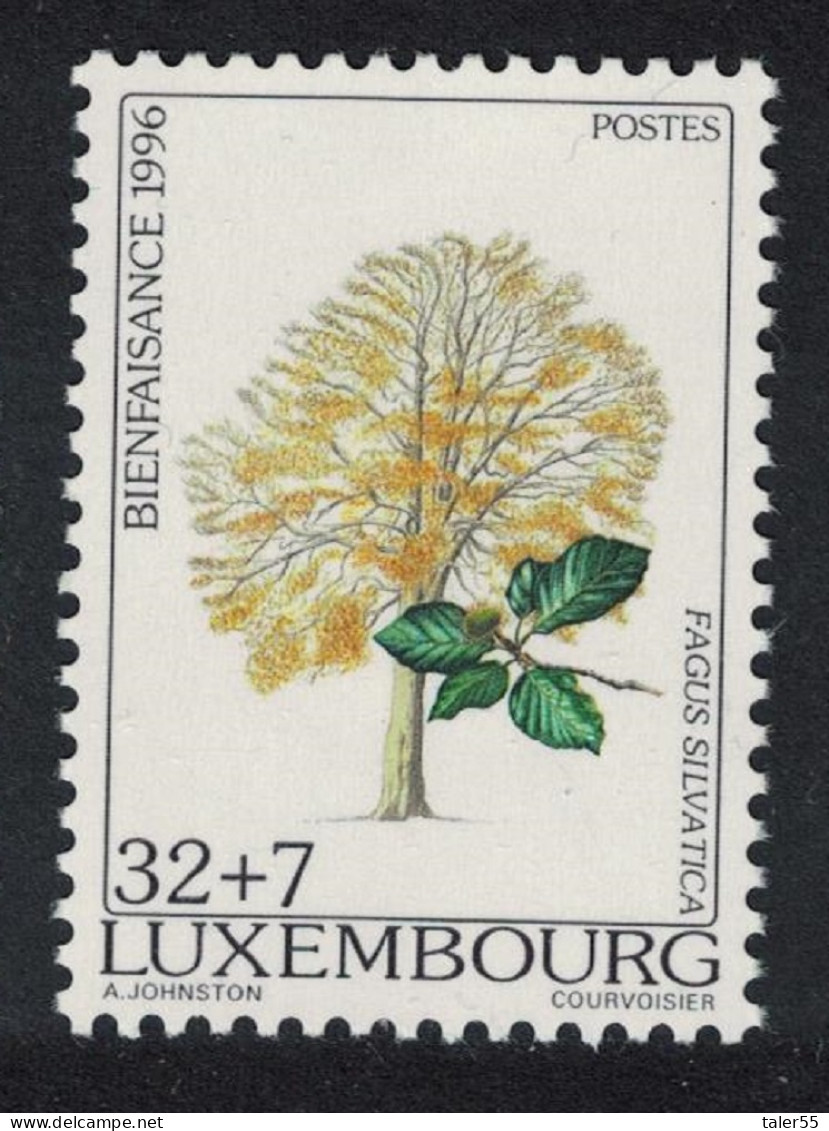 Luxembourg Common Beech Tree Key Value 1996 MNH SG#1435 MI#1407 - Neufs