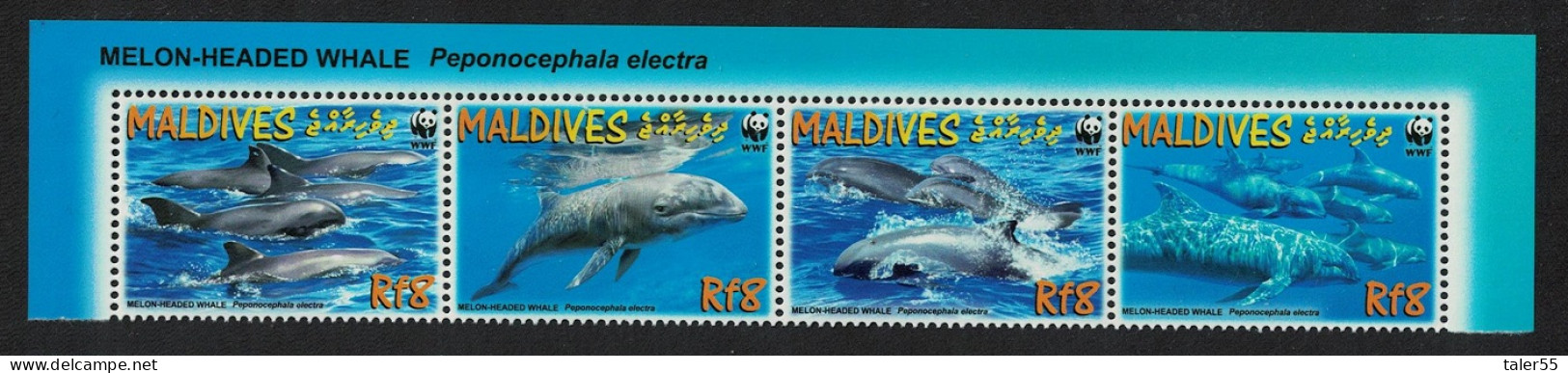 Maldives WWF Melon-headed Whale Top Strip Of 4v Latin Name 2009 MNH SG#4234-4237 MI#4768-4771 Sc#2987a-d - Malediven (1965-...)