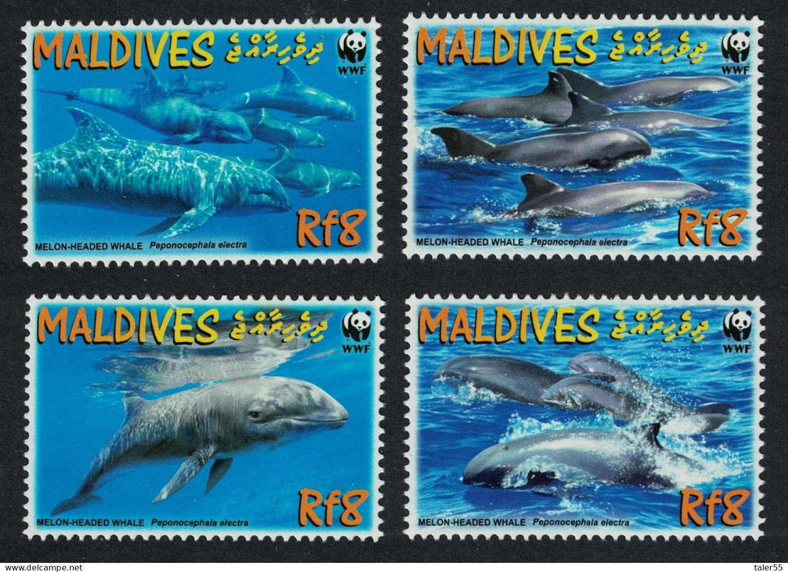 Maldives WWF Melon-headed Whale 4v 2009 MNH SG#4234-4237 MI#4768-4771 Sc#2987a-d - Maldivas (1965-...)