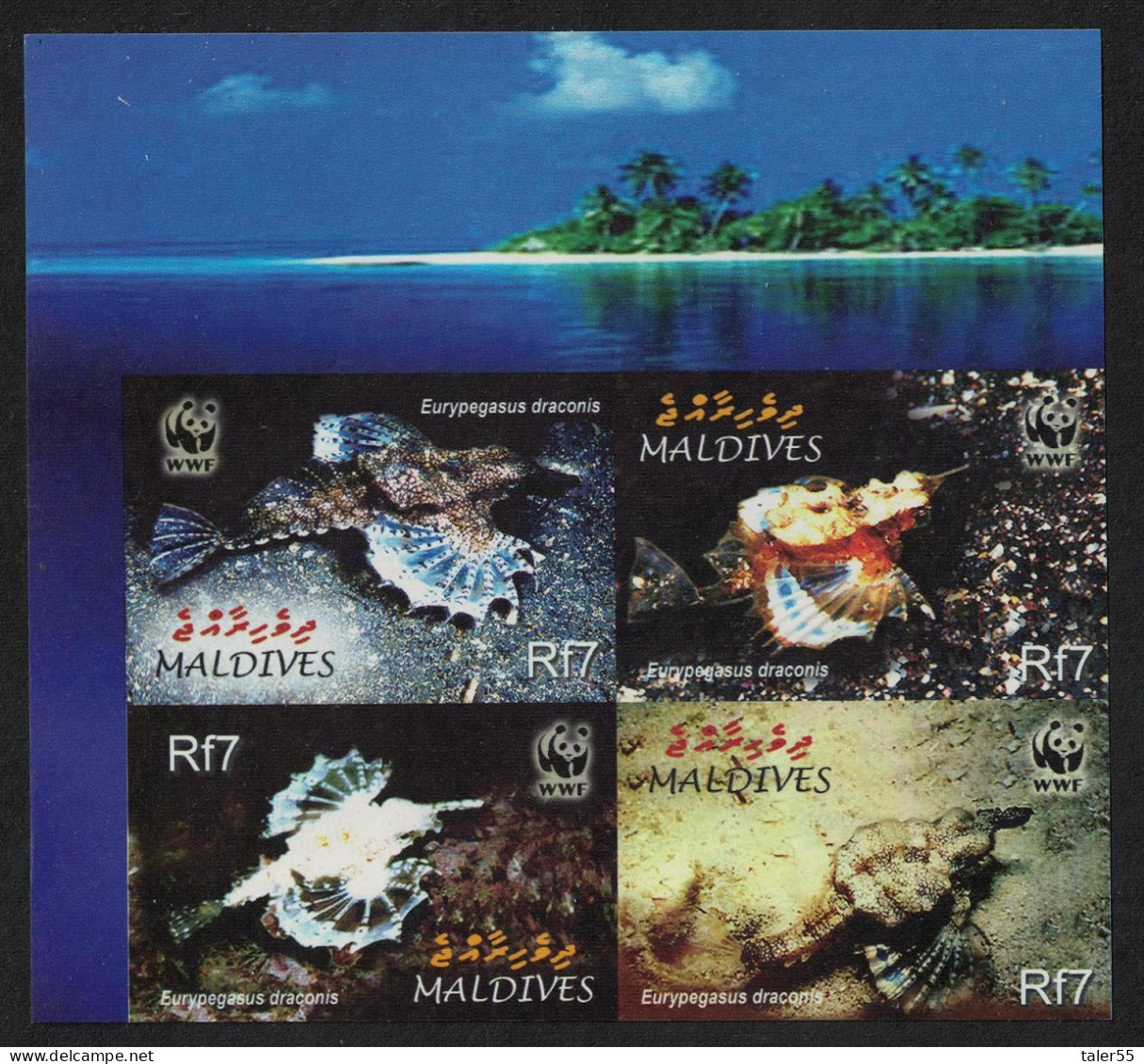 Maldives WWF Dragonfish 4v NW Block Of 4 IMPERF 2004 MNH SG#3966-3969 MI#4407-4410 Sc#2839 A-d - Maldivas (1965-...)