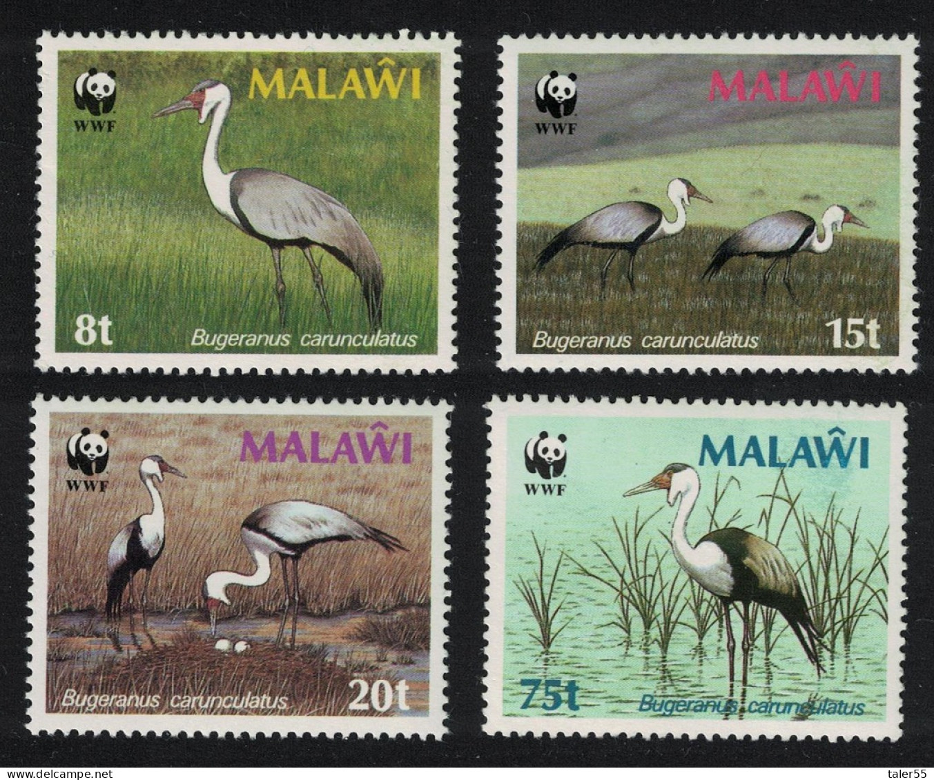 Malawi Wattled Crane Birds WWF 4v 1987 MNH SG#759-762 Sc#484-487 - Malawi (1964-...)