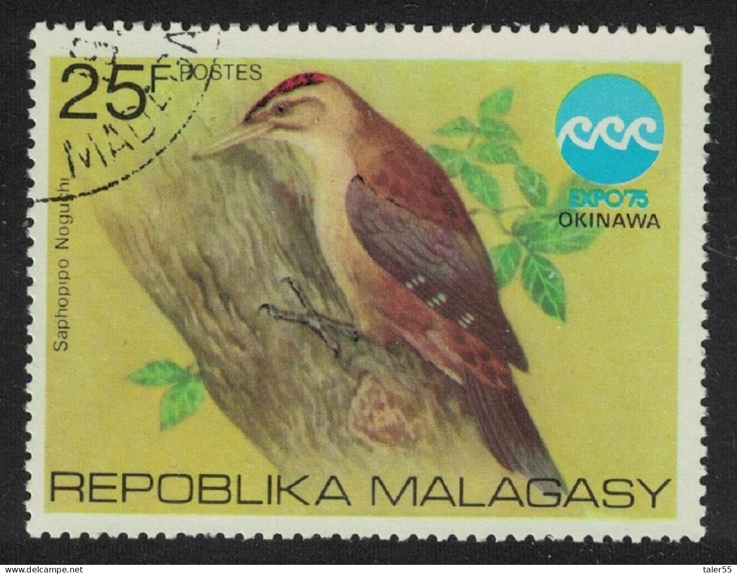 Malagasy Rep. Pryer's Woodpecker Bird 1975 CTO SG#320 Sc#532 - Madagascar (1960-...)