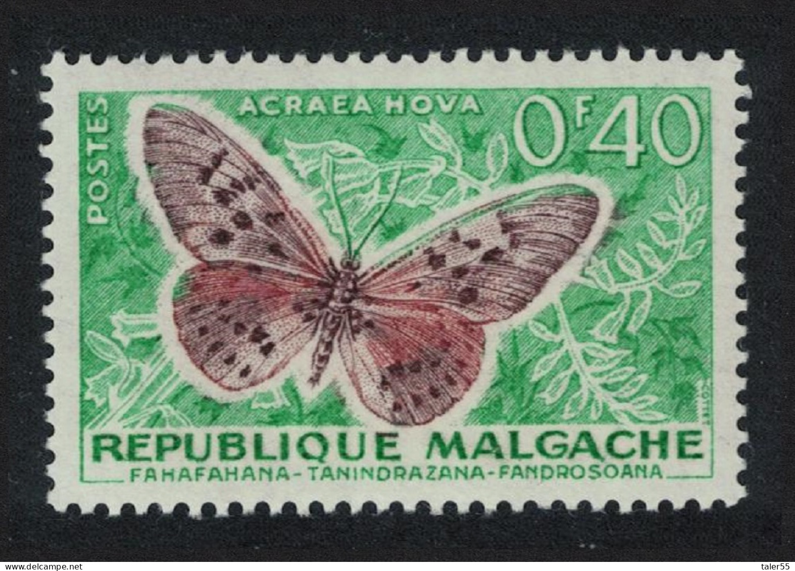 Malagasy Rep. Butterfly 'Acraena Nova' 1960 MH SG#8 MI#446 Sc#307 - Madagaskar (1960-...)