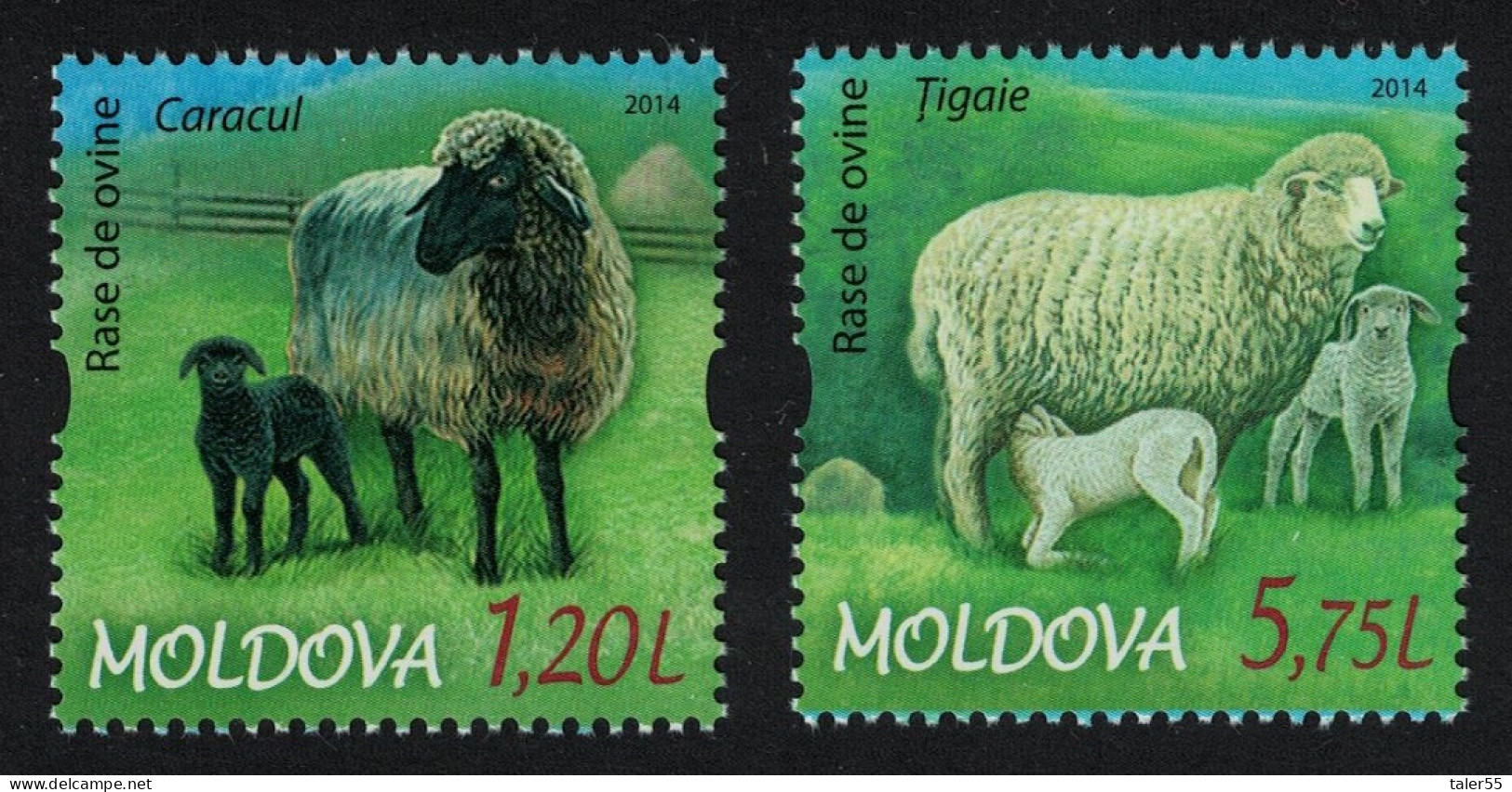 Moldova Sheep Breeds 2v 2014 MNH SG#858-859 - Moldova