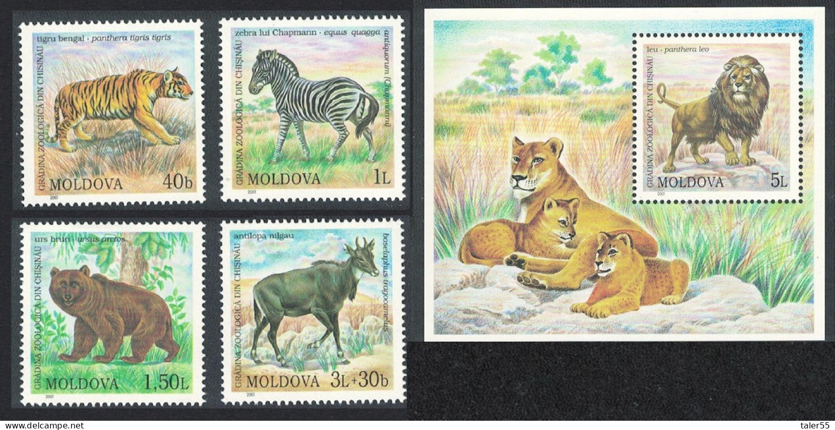 Moldova Tiger Lion Zebra Antelope Bear Chisinau Zoo 4v+MS 2001 MNH SG#398-MS402 - Moldova