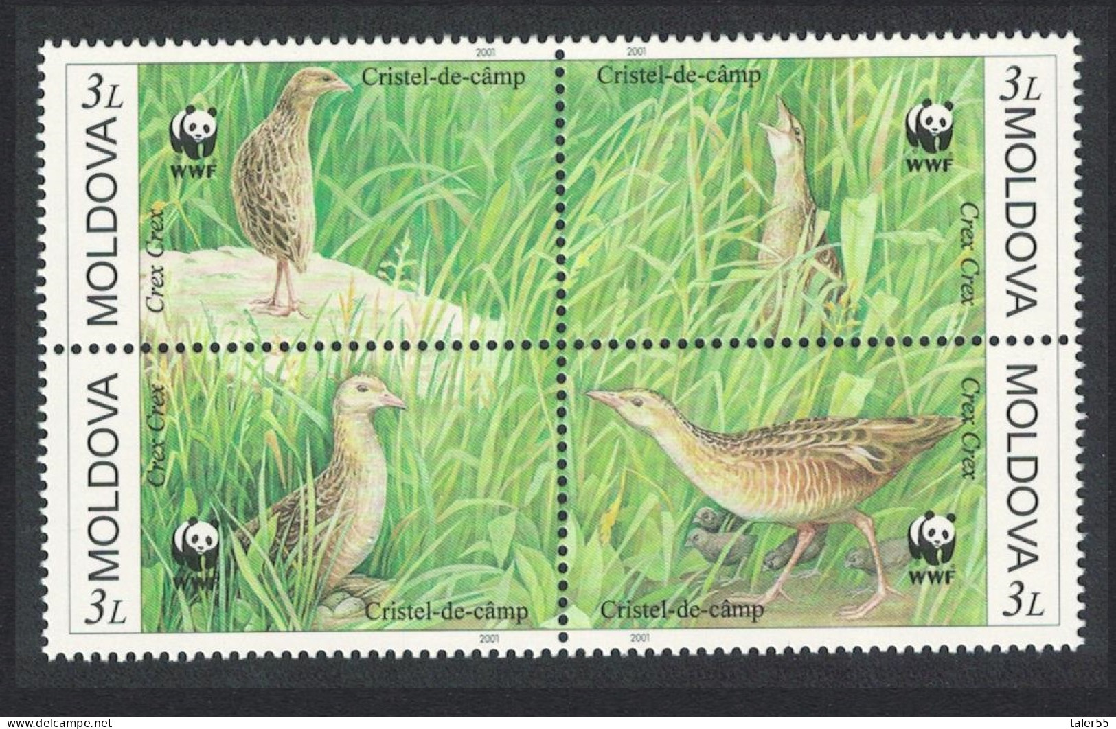 Moldova Birds WWF Corncrake 4v Block Of 4 2001 MNH SG#382-385 MI#379-382 Sc#370 A-d - Moldova