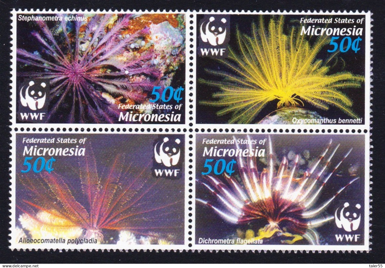Micronesia WWF Feather Stars 4v Block Of 4 2005 MNH SG#1347-1350 MI#1674-1677 Sc#659 A-d - Micronesië