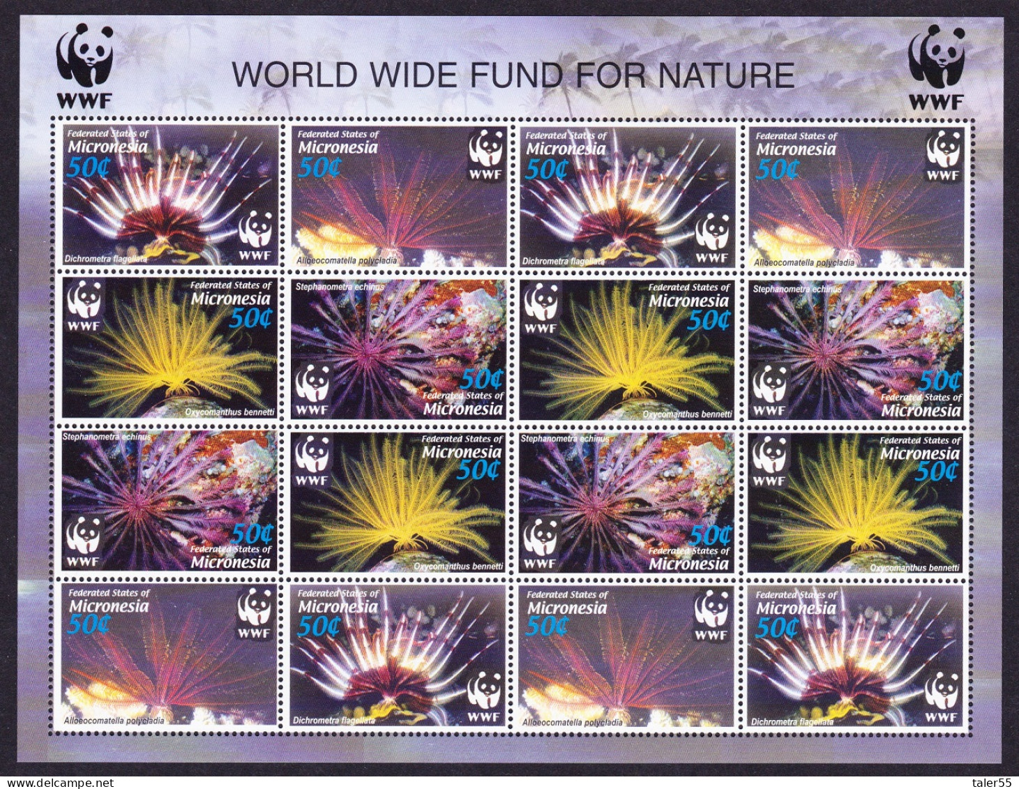 Micronesia WWF Feather Stars Sheetlet Of 4 Sets 2005 MNH SG#1347-1350 MI#1674-1677 Sc#659 A-d - Micronésie